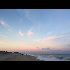 Meet your Posher, Mollie